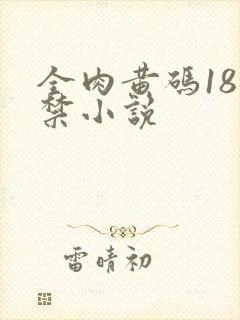 全肉黄码18无禁小说