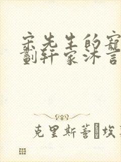 宋先生的宠妻计划轩家沐言