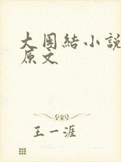 大团结小说阅读原文封面