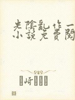 光阴乱作一团的小说免费阅读