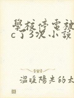 学校停电被同桌c了3次小说封面