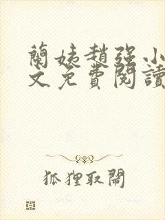 兰姨赵强小说全文免费阅读