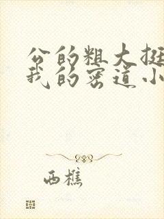 公的粗大挺进了我的密道小说封面