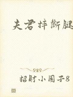 夫君摔断腿后封面