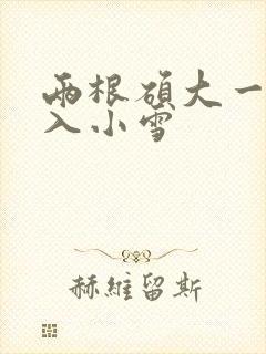 两根硕大一起挤入小雪封面