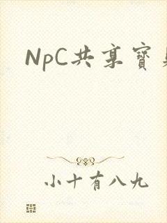 NpC共享宝贝