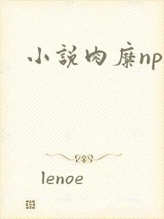 小说肉糜np封面