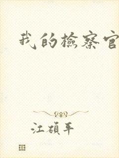 我的检察官先生