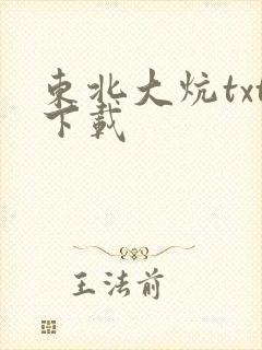 东北大炕txt下载