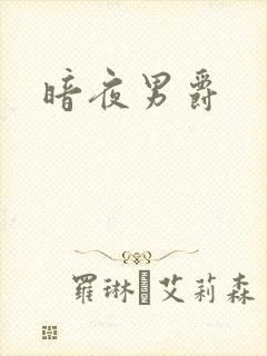 暗夜男爵封面