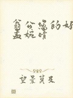 翁公您的好长呀孟婉晴封面