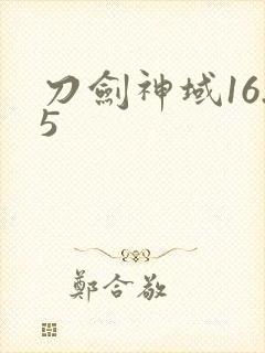 刀剑神域16.5封面