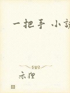 一把手 小说