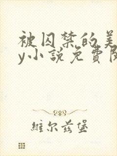 被囚禁的美人by小说免费阅读