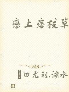 恋上痞校草封面