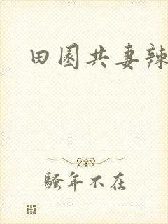 田园共妻辣封面