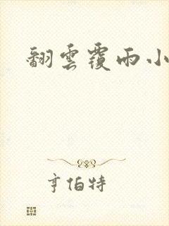 翻云覆雨小说封面