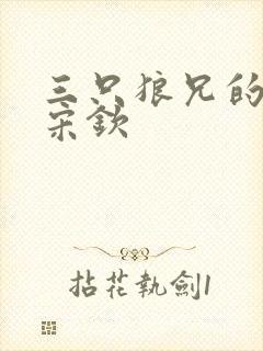 三只狼兄的宠妻宋钦