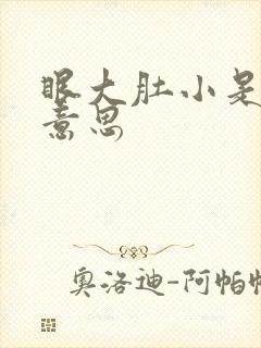 眼大肚小是什么意思