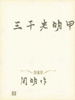 三千光明甲封面