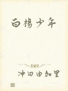 白杨少年