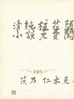 清纯校花堕落记小说免费阅读