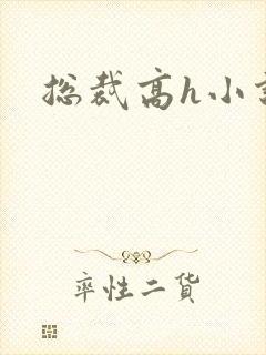 总裁高h小说封面