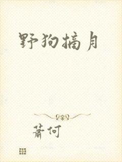 野狗摘月