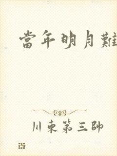 当年明月难寻封面