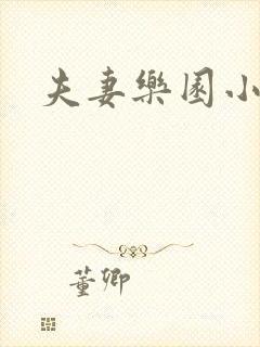 夫妻乐园小说封面