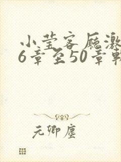 小莹客厅激情46章至50章软件介绍