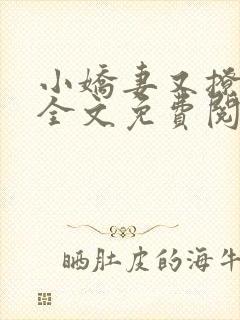 小娇妻又撩又甜全文免费阅读