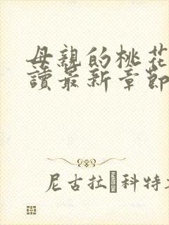 母亲的桃花源阅读最新章节小说封面