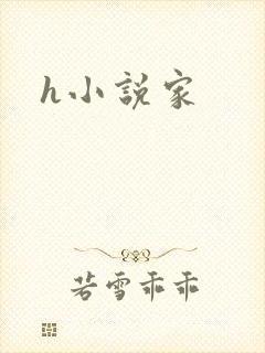 h小说家
