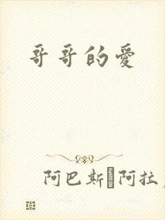 哥哥的爱