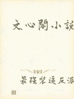文心阁小说封面