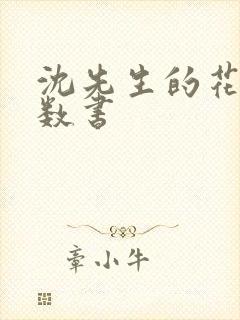 沈先生的花式调数书