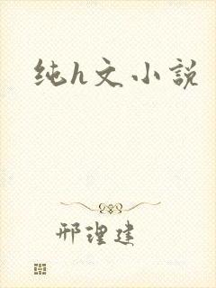 纯h文小说