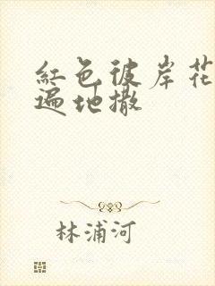 红色彼岸花花瓣遍地撒封面