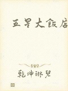 五星大饭店小说封面
