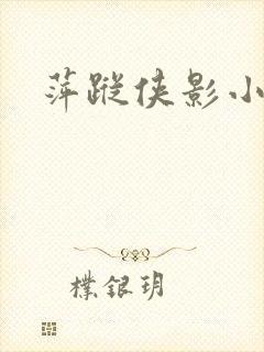 萍踪侠影小说封面