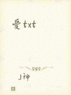 爱txt封面