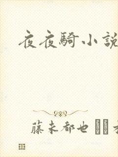 夜夜骑小说