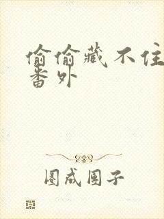 偷偷藏不住新婚番外