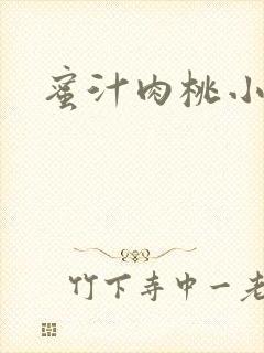 蜜汁肉桃小说