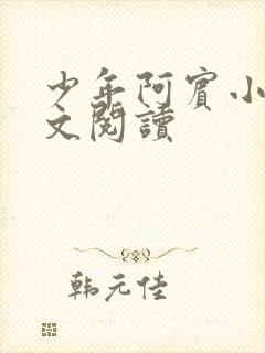 少年阿宾小说全文阅读