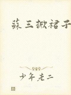 苏三掀裙子封面