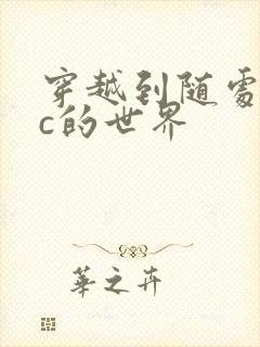 穿越到随处可以c的世界