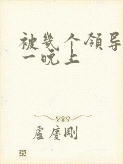 被几个领导玩弄一晚上