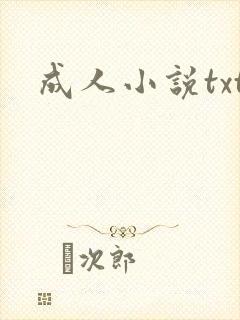 成人小说txt封面